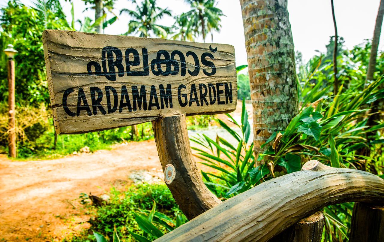 Hotel Mango Meadows à Kottayam Extérieur photo