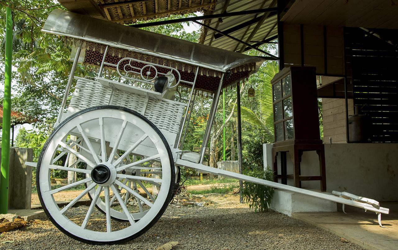 Hotel Mango Meadows à Kottayam Extérieur photo
