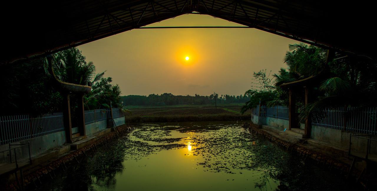 Hotel Mango Meadows à Kottayam Extérieur photo
